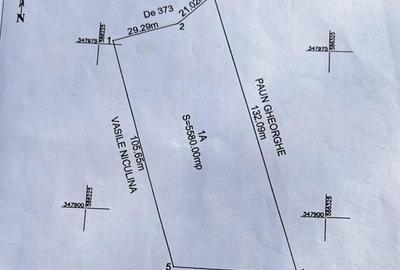 TEREN INTRAVILAN | BALOTESTI | DESCHIDERE 50 M LA LAC | 5558 MP | - 1