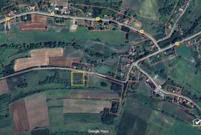 Teren Construcții de 2976 mp, în Țaga