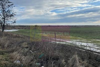 Teren Mihailesti E70- DN6 langa Dovinot. - 3