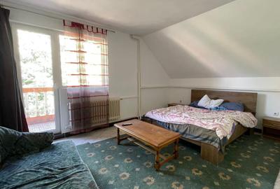 HOTEL DE INCHIRIAT CU 14 CAMERE SI PARCARE BORS E60 - 14