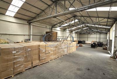 Hale 200-400-1.000 mp, productie, depozitare, logistica - 4