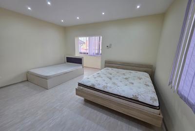 Timpuri Noi, 10 minute metrou, pe Cuza Voda, vila exclusivista P+1+M, lux, - 35