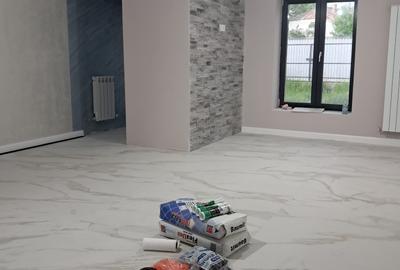 Casa plan parter Horlesti-Rediu, 3 camere, intabulata - 10