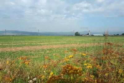 Teren Construcții intravilan de 40000 mp, în Central