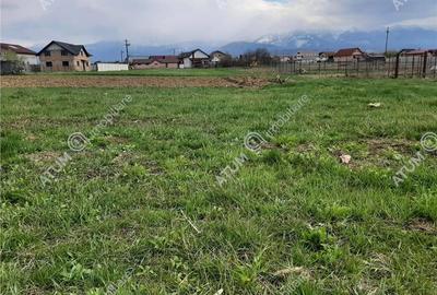 Eren intravilan 1400 mp de vanzare pe Valea Avrigului - 5