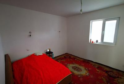 Teren Generos cu Casa in Gruiu - Snagov - 27