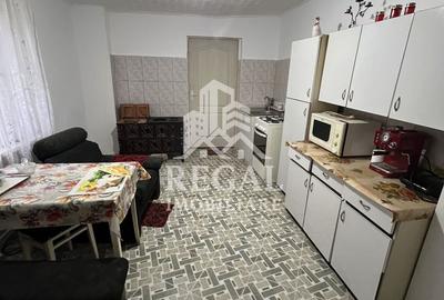 Două case individuale de vânzare în Teliuc –ideale pentru două familii - 13
