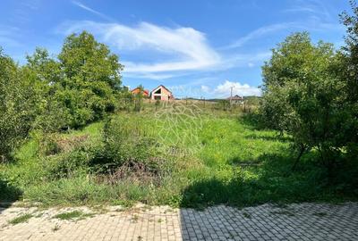 Oportunitate! Complex 4 case P+M-teren-locuri parcare-Valea Budacului - 5