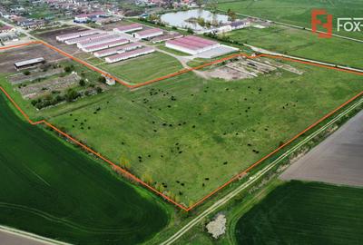 Teren intravilan cu suprafata de 58.340 mp, in Sanmartinul Sarbesc - 4