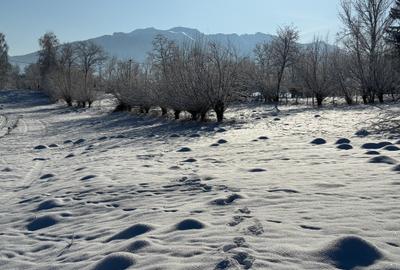 Teren intravilan intre 500 si 1000 mp   in zona Bran - 17