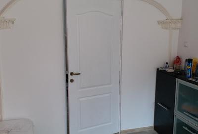 Vilă de  la Podul Grant – 250 mp + 100 mp curte - 42