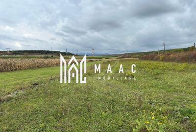 Teren | 3700 mp | Deschidere la DN | Intrare Vestem – Sibiu - 1