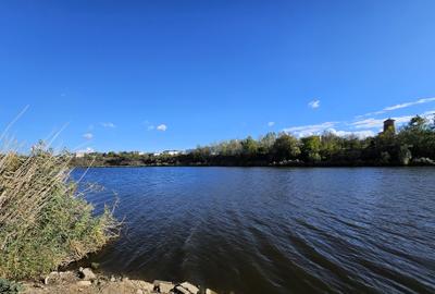 Teren intravilan Balotesti / 5.000 mp / D: 18 m / langa lac / comision 0% - 5