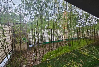 Apartament de 2 camere în zona Jiului/Two-room apartment in Jiului area - 9