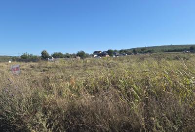 Cercu , Strada Hotarului , 3 km de cartier Visoianu , 16.500 euro - 10