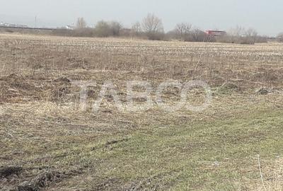 Teren extravilan 4200 mp in Sibiu zona Turnisor - 2
