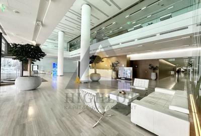 ZONA BANEASA | SPATIU COMERCIAL 412 MP CLADIRE BIROURI | PRETABIL SHOWROOM - 13