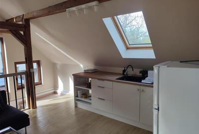 Apartament modern la curte - 10