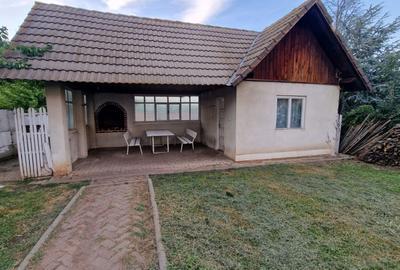 INCHIRIERE Casa individuala D + P + E + M cu 8 Camere 5 Bai 750 mp Teren CETATE - 20