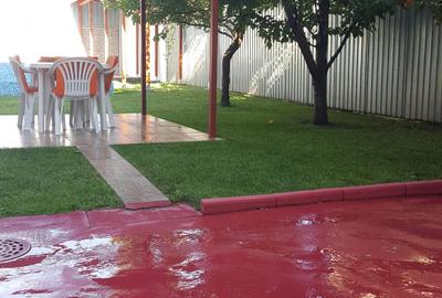 Vanzare vila zona Titulescu cu trei apartamente piscina garaj  gradina foisor - 19