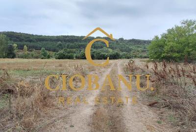 Teren Intravilan/Extravilan de vanzare in Bradestii Batrani - 10