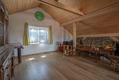 De Vânzare Casă Vânătorilor 9 ari teren - 11