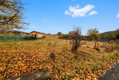 TEREN INTRAVILAN DE VÂNZARE – GEAMĂNA, CODLEA, BRAȘOV - 5