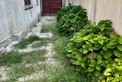 Vila individuala cu 4 camere, garaj in zona Floreasca- Barbu Vacarescu - 2