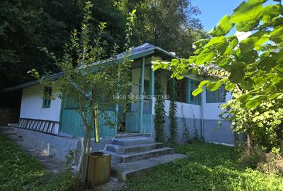 Vanzare Casuta pitoreasca la padure, teren 3159mp, in Gogeasca - 2