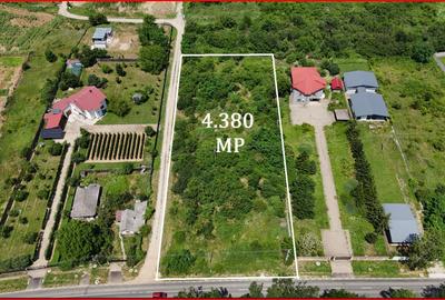 Teren Construcții intravilan de 4380 mp, în Ciolpani