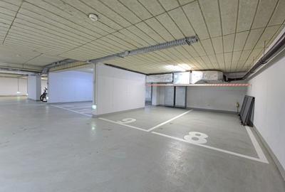 Apartament cu gradina Primaverii - 20