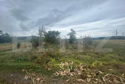Teren agricol extravilan de 3700 mp, în Nord