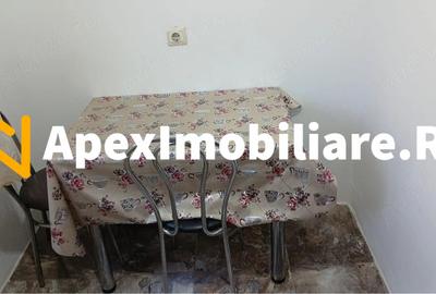 Garsoniera de inchiriat Dristor București | ApexImobiliare.ro - 8