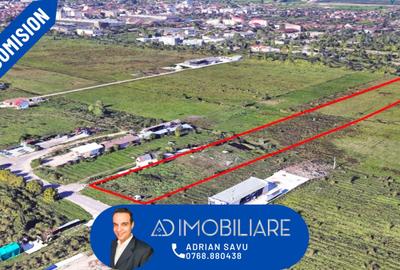 Teren agricol intravilan de 23148 mp, în Centura