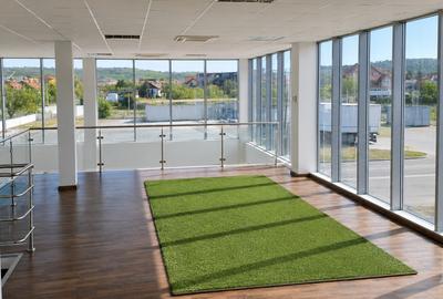 Spațiu comercial cu showroom și depozit | 412 mp | str. Matei Corvin, Oradea - 5
