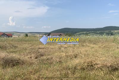 Teren intravilan de vanzare in Alba Iulia in suprafata de 500 mp - 3
