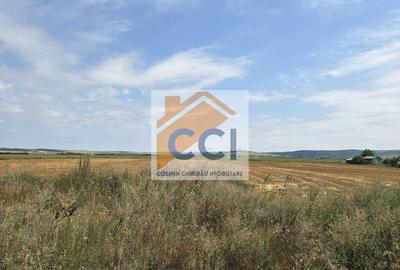 Teren intravilan– 50.000 mp, Bacău, Șoseaua Hol - 3