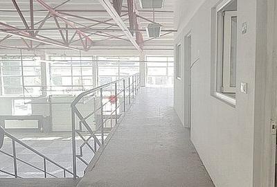Hală industrială modernizată - Platforma Industrială Carfil - 20