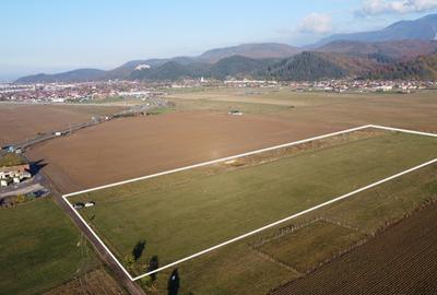 Proiect Rasnov Teren Intravilan, 45 de loturi- Investitie! - 2