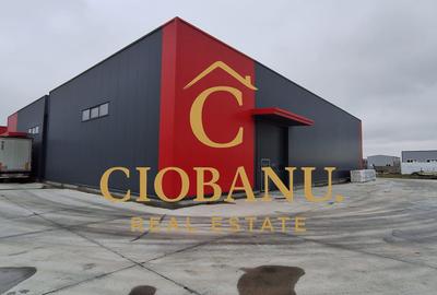 Hale industriale+Cladire de Birouri de inchiriat zona Aeroport - 20