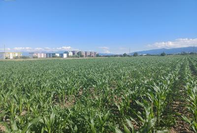 TEREN INTRAVILAN DE INVESTIȚIE – 47.000 MP - 5