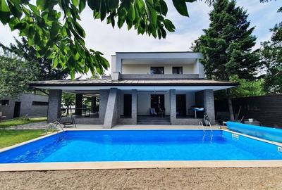 Proprietate exclusivista, arhitectura moderna, piscina, Iancu Nicolae - 1