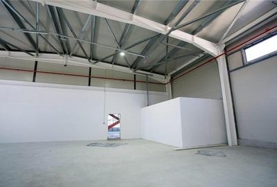 Inchiriere depozit/hala/spatiu industrial/showroom Afumati - Doraly - DN2, ILFOV - 8