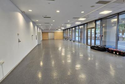 Pantelimon spatiu comercial 950 mp - 1