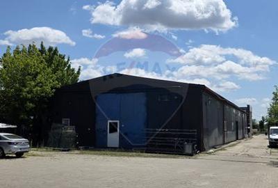 Hala si teren, depozitare, parcare-Spațiu industrial - 28