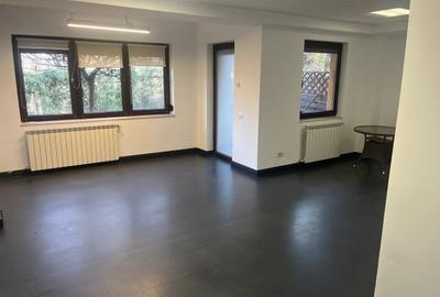 Casă individuală cu 7 camere în Floreasca