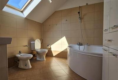 IANCU NICOLAE, S+P+1, 6 CAMERE, 410 MP, PISCINA, CURTE SUPERBA! - 18