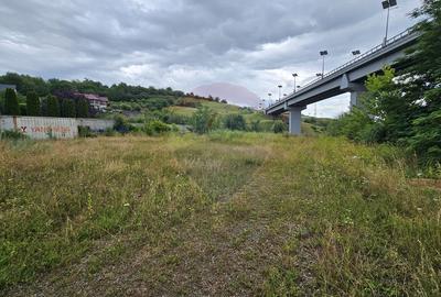 Teren intravilan 2700 mp, Moara-Bulai / Strada Hagigadar, Suceava - 7