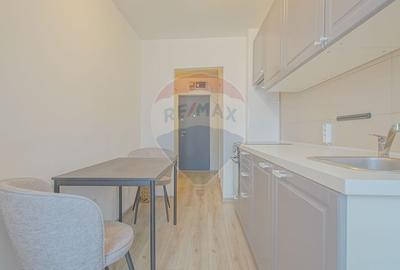 Apartament cu 2 camere de închiriat în zona Florilor - 14