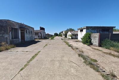 Spațiu industrial -fermă Orțișoara - 9